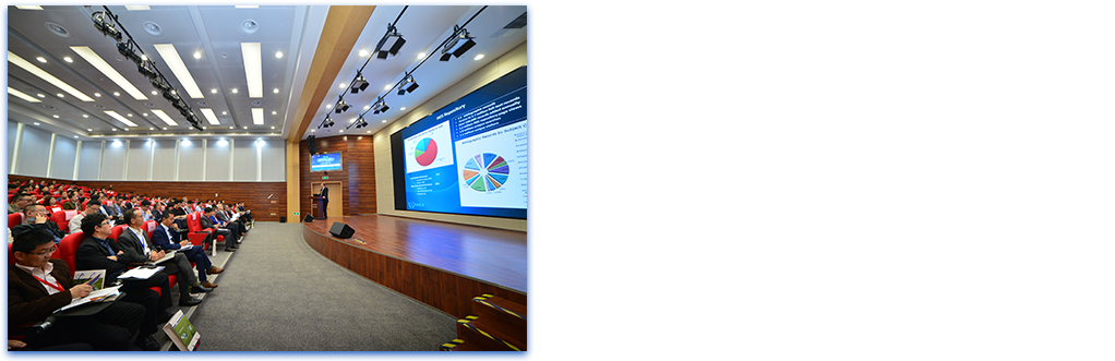 ���h���[