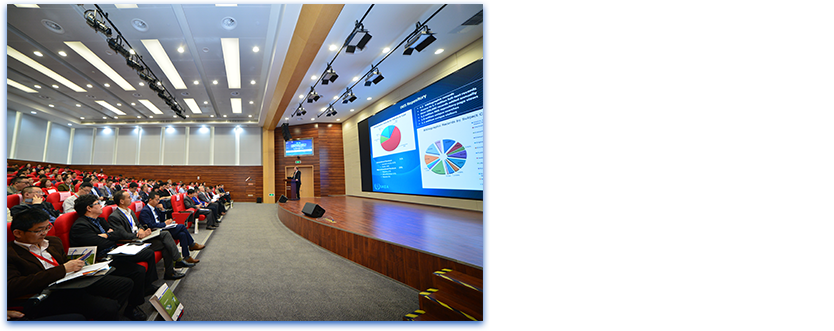 ���h���[